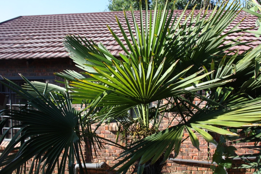 5 Bedroom Property for Sale in Langenhovenpark Free State